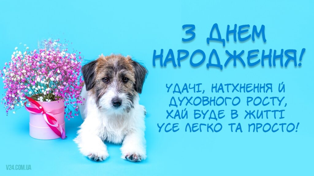 Жартівливі привітання з днем народження